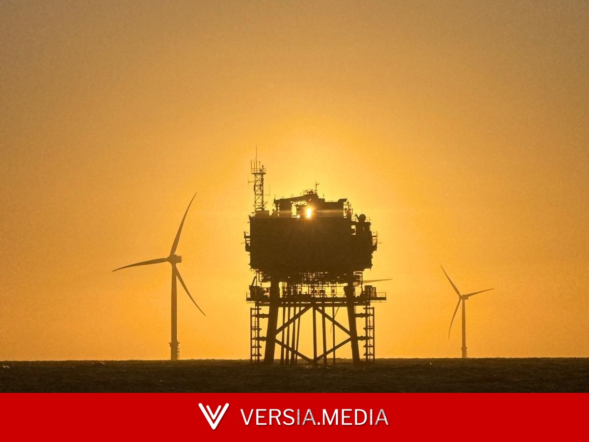Comment mesurer l'impact des éoliennes sur la vie marine