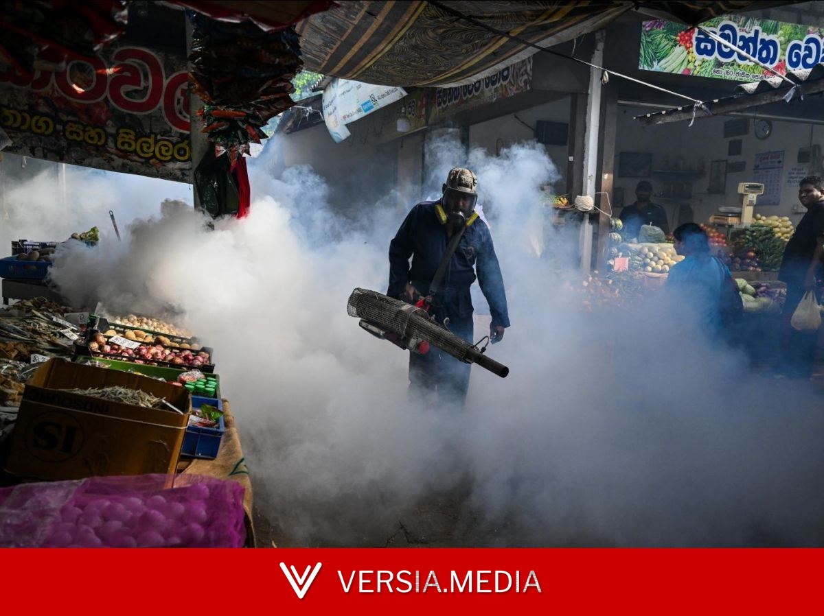 Dengue au Sri Lanka : 49 morts et plus de 60 000 infectés
