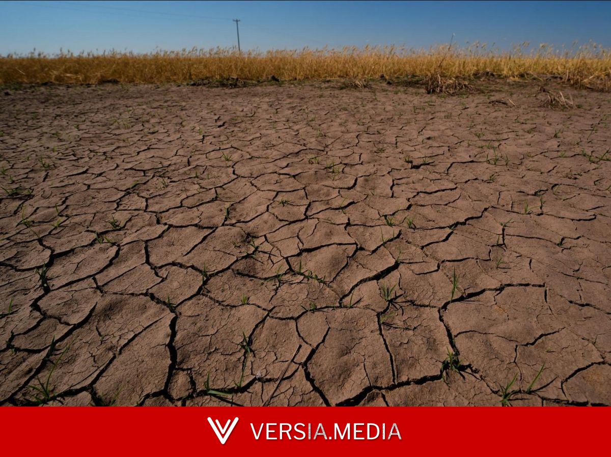 ONU : El Niño attendu une à forte intensité