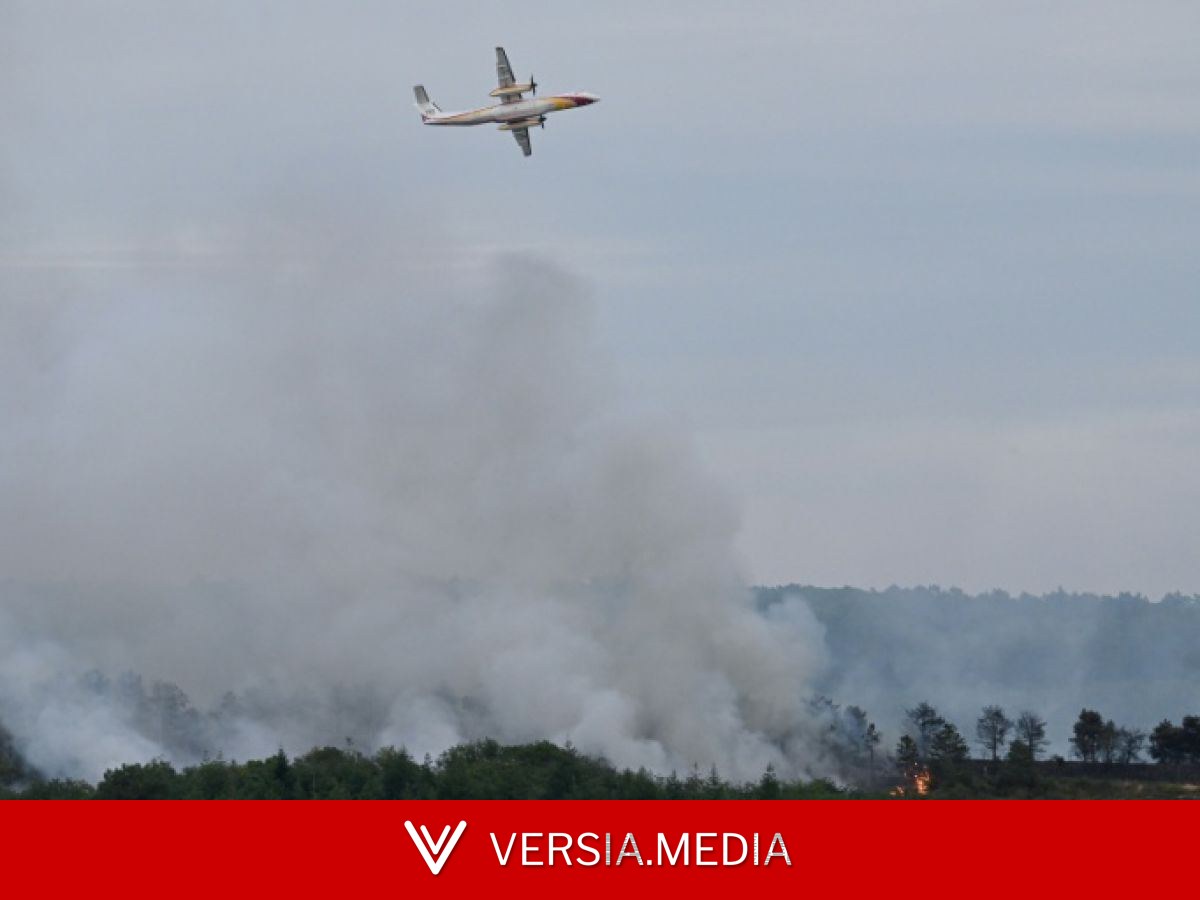 Canicule : les feux de forêt gagnent de nouveaux territoires