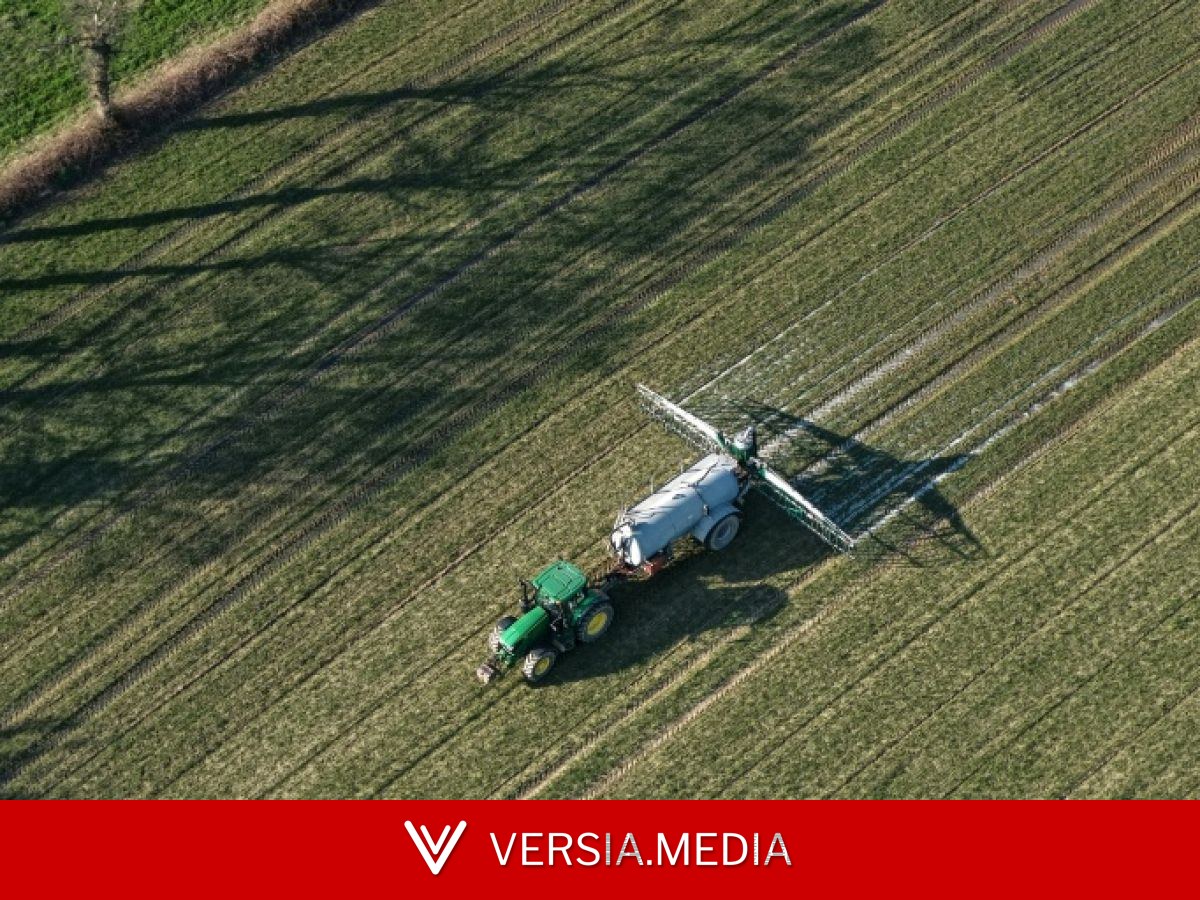 Eau, loup, pesticides... Ce que contient le projet de loi d'urgence agricole
