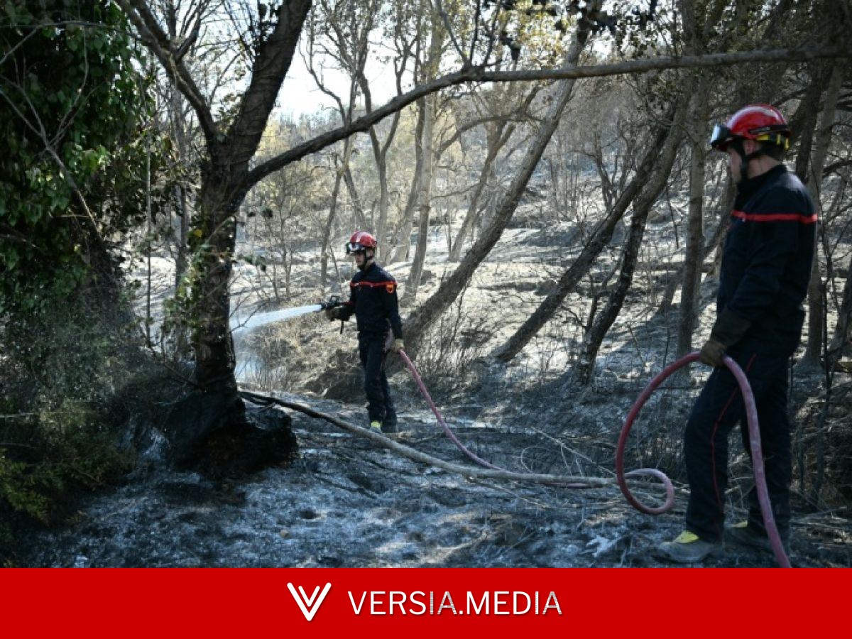 L'incendie des Pyrénées-Orientales n'a pas progressé depuis lundi soir